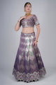 Traditional Elegance: Stunning Lehenga